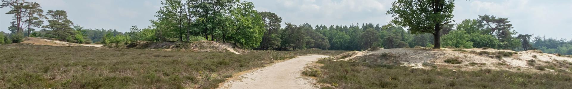 De Bakkeveense Duinen