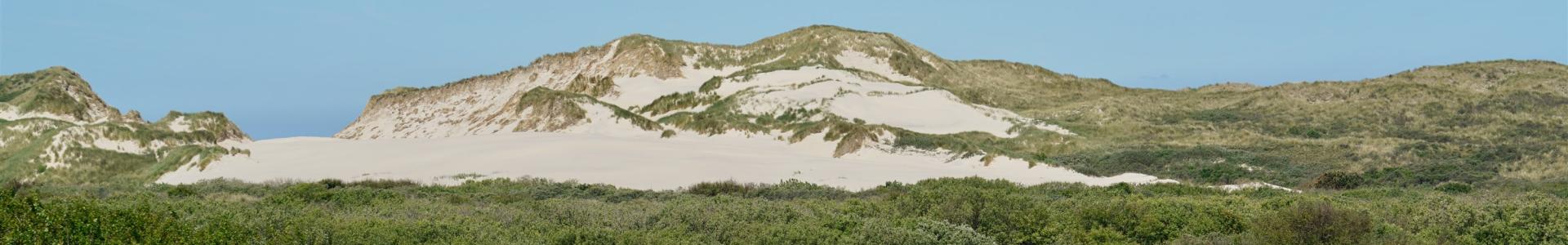 Duinen op Terschelling