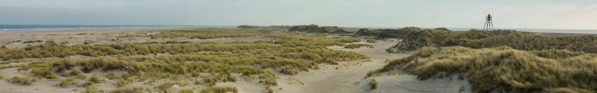 Duinen op Ameland