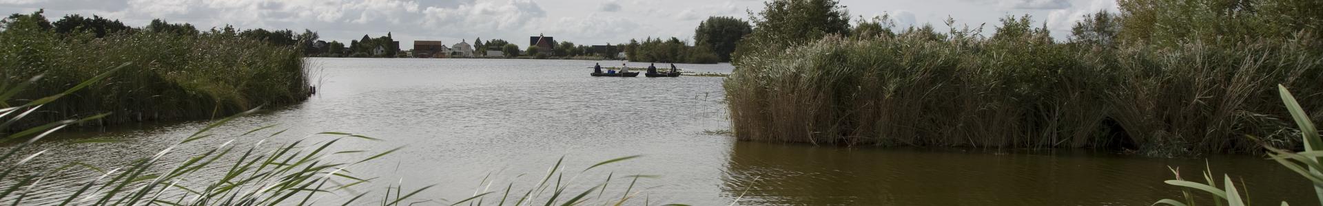 Nieuwkoopse plassen