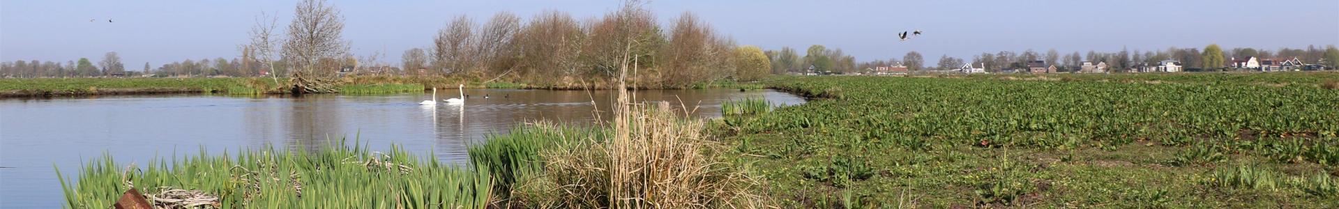 Polder Stein Noord