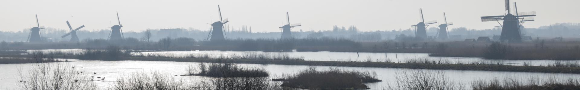 Boezem in Kinderdijk