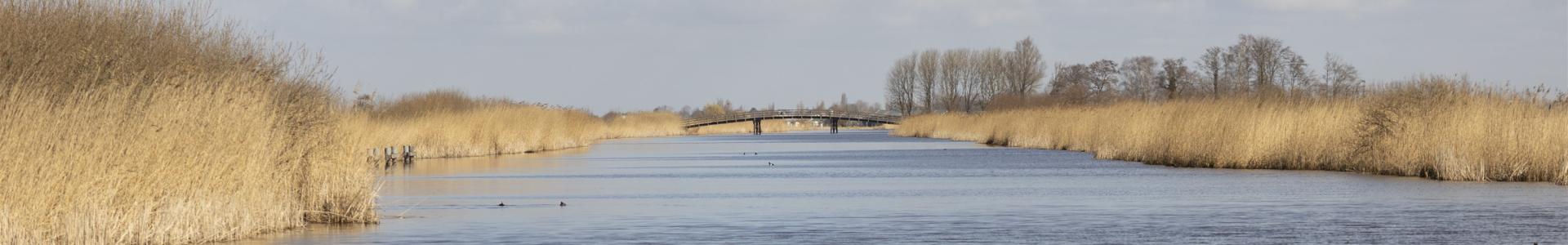 Groote- of achterwaterschap waterbuffer