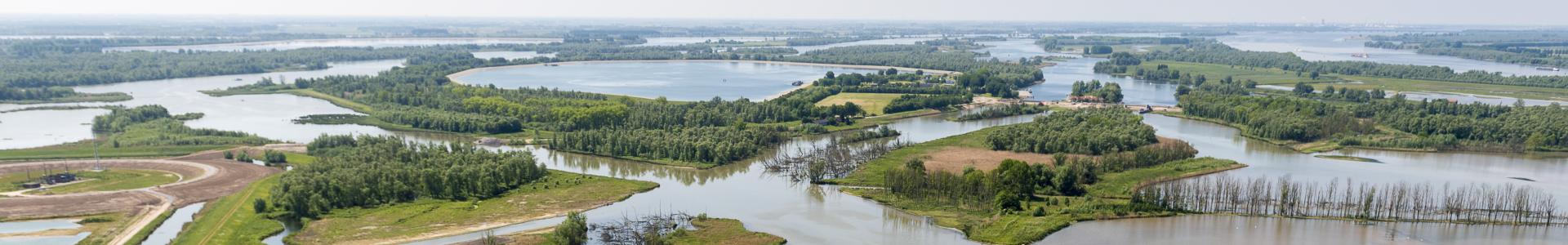 Ondergelopen gebied in de Biesbosch met bomen