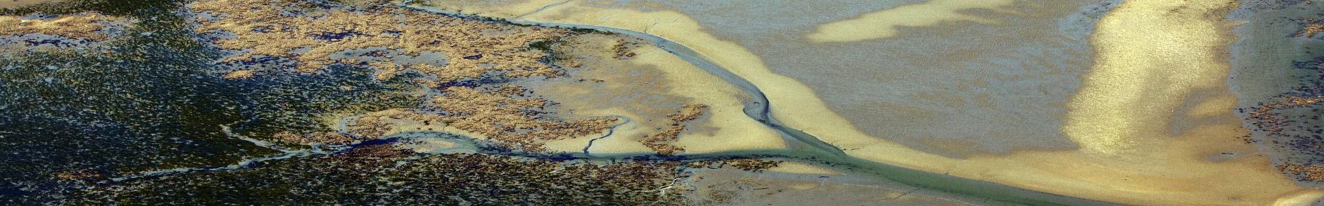 Natuur langs de grote Nederlandse wateren