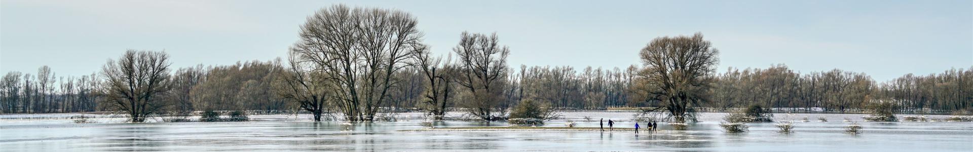 Ijs en hoogwater Gendtse Waard