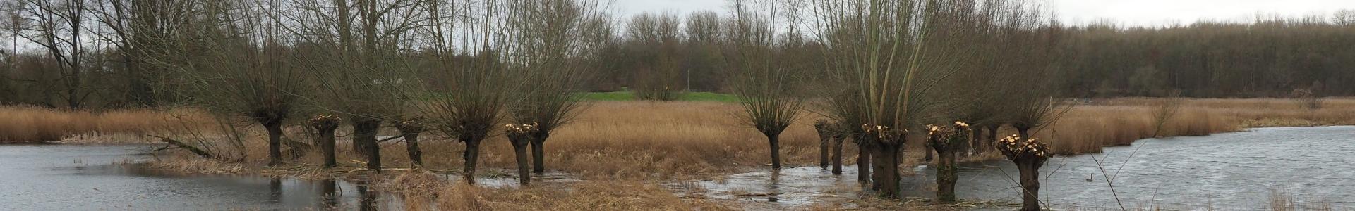 Buitenlanden Langenholte Zwolle, hoog water