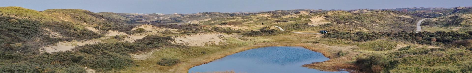 Duinmeer in de duinen bij Berkheide