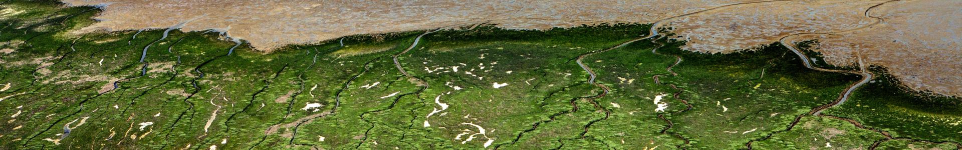 Natuur langs de grote Nederlandse wateren