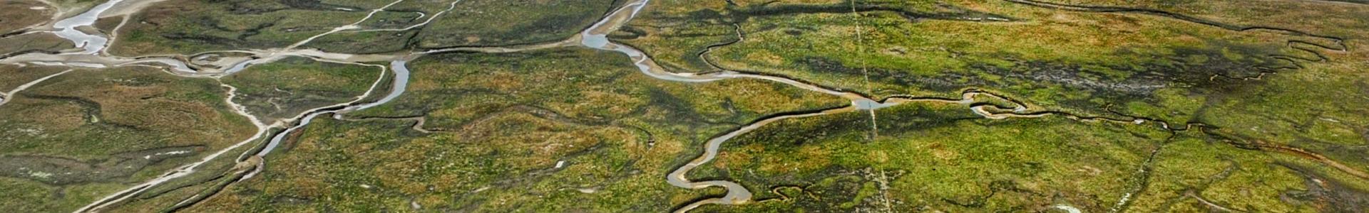 Kronkelige kreekjes doorkruisen het land in het kustgebied