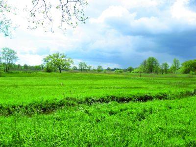 Landschap Drentsche Aa